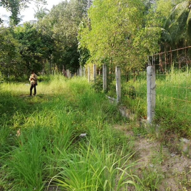 Source - Matthew Beresford