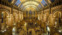 Natural_History_Museum London